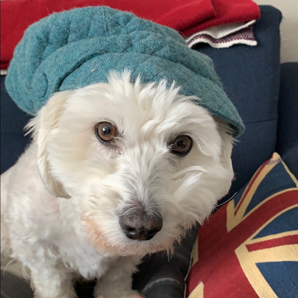 Teal quilted pageboy hat